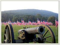 9/11 2006 Field of Flags - Kennesaw Mountain